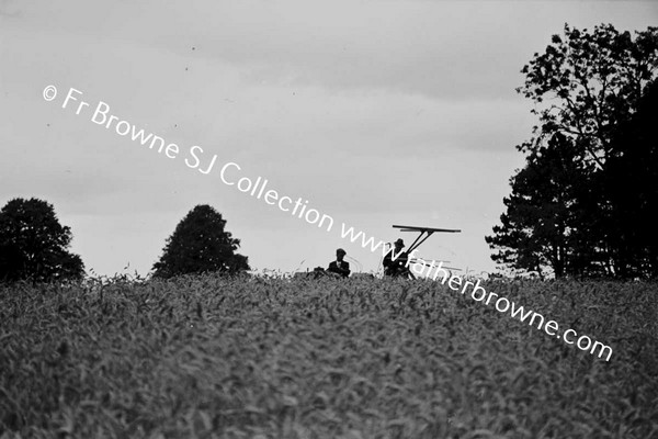 HARVEST  TIME  WITH TRACTOR